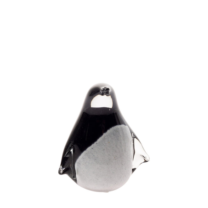 Small Glass Penguin