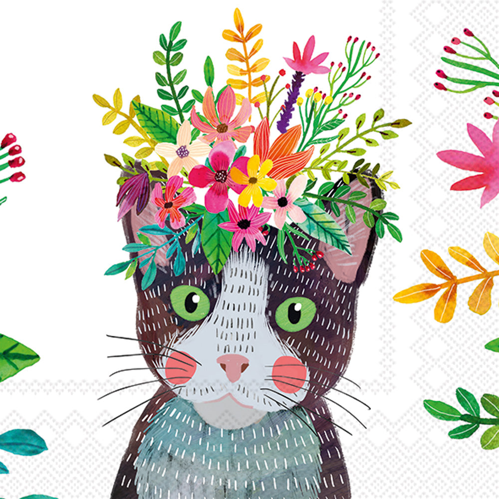 CKTL/FLORAL CAT