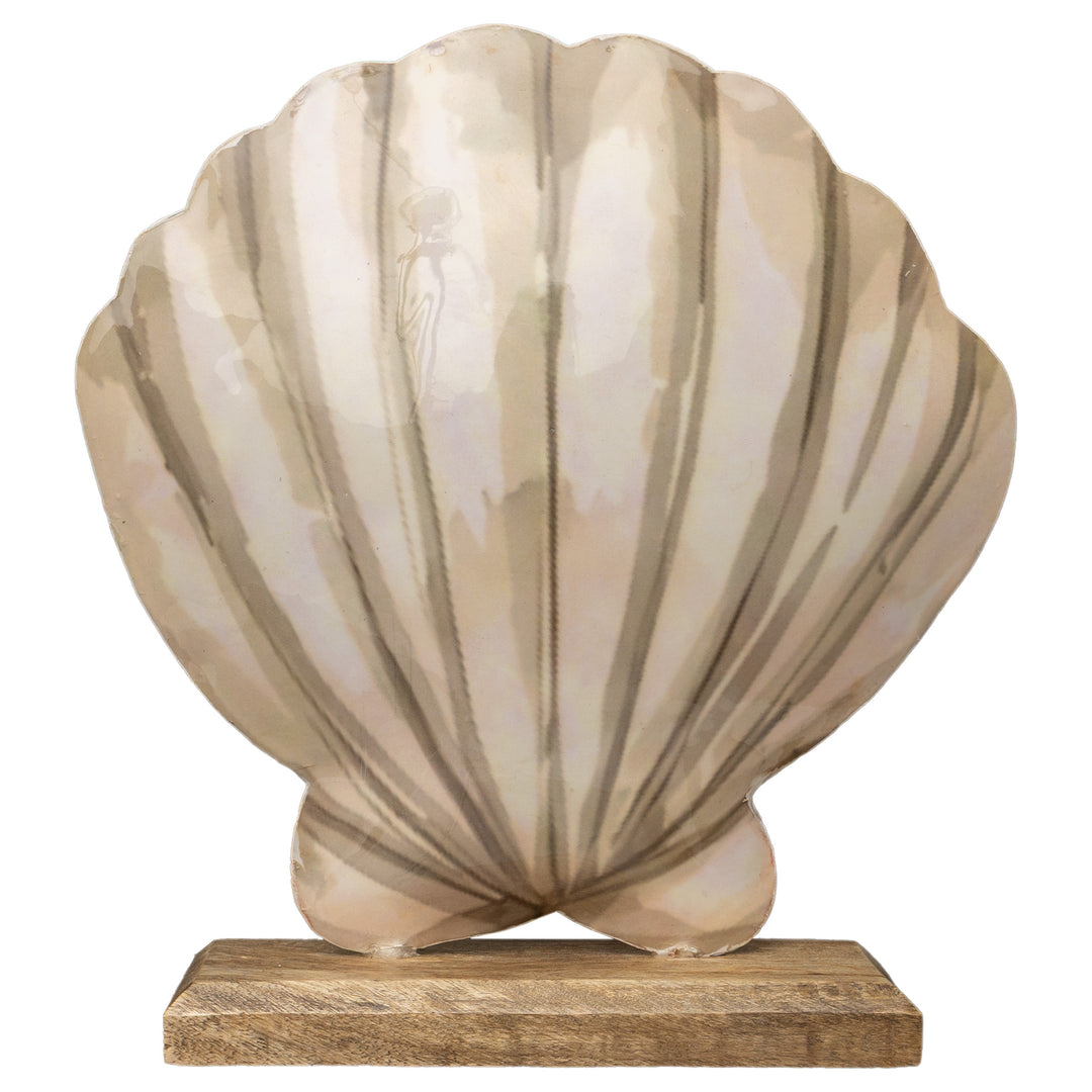 Sandy Shore Shell