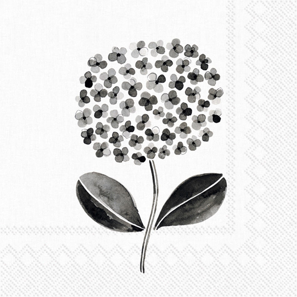 All About Black and White 2 Cocktail Napkin