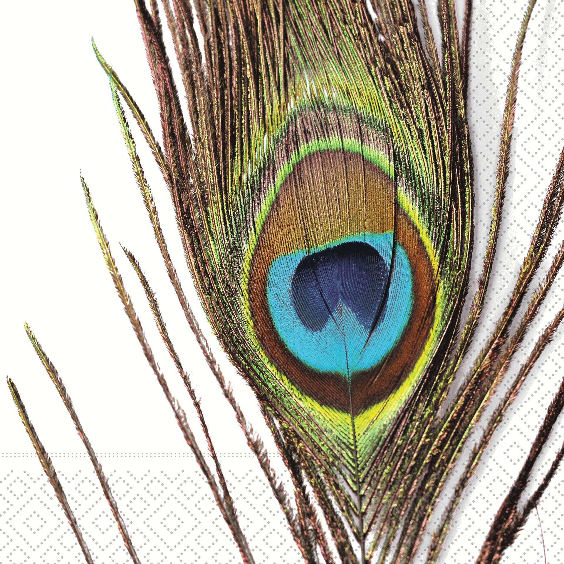 Eye Of The Peacock Lunch Napkin