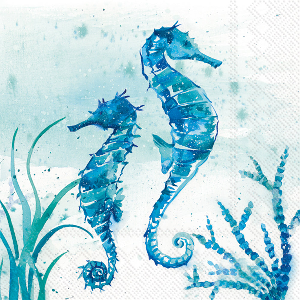 CKTL/AQUAWORLD SEA HORSE