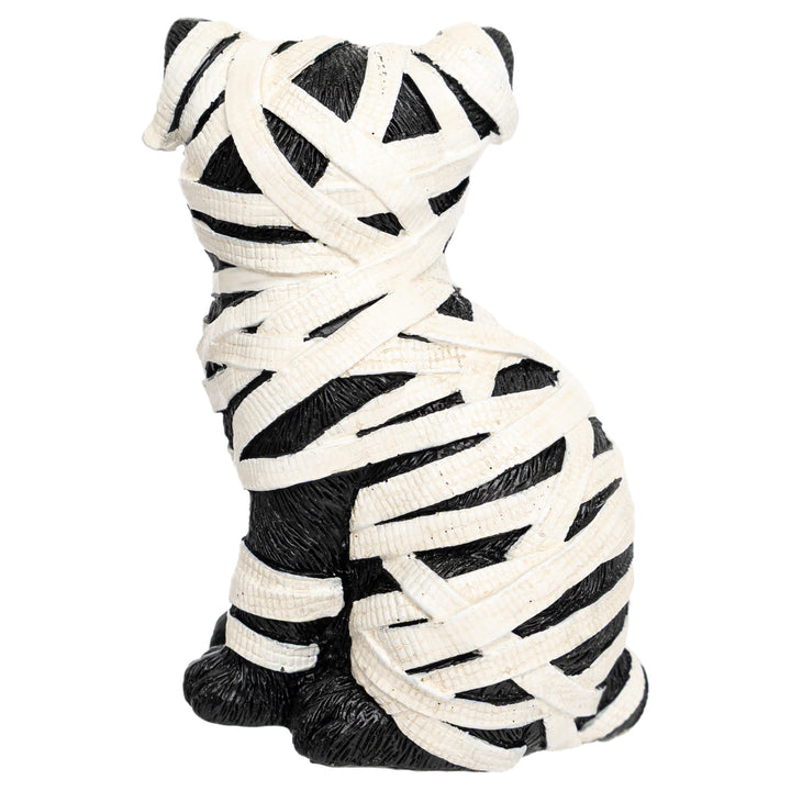 Mummy Cat