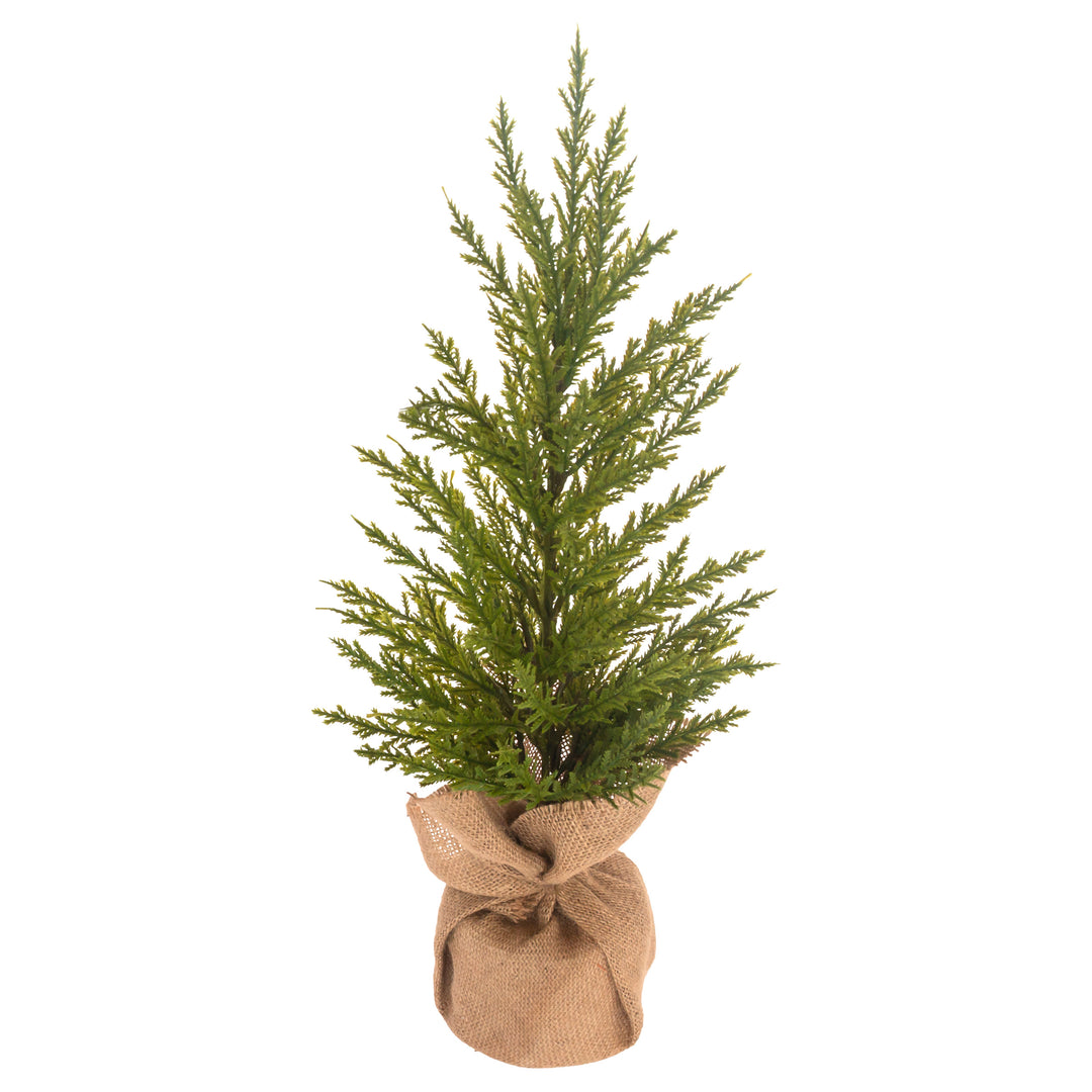 Winter Fir Tree Medium