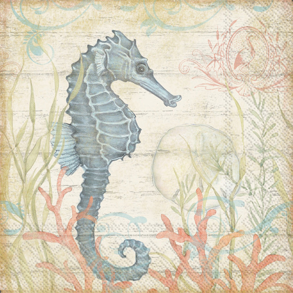 CKTL/SEAHORSE AND CORAL