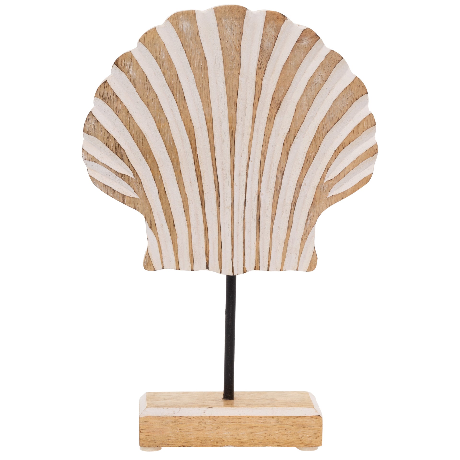 WHITEWASH SCALLOP SHELL LG