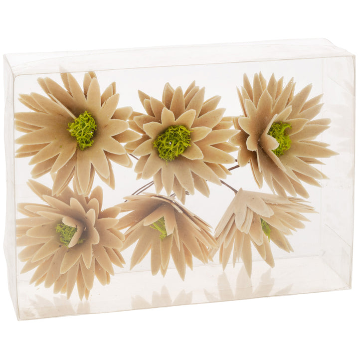 Natural Wood Curl Daisies (Set of 6)