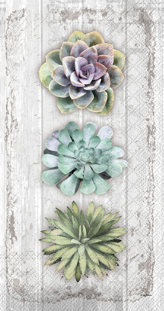 Succulents Still Life Guest Towel