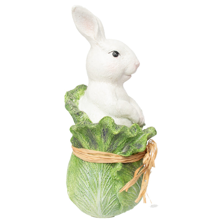 Bunny In Cabbage