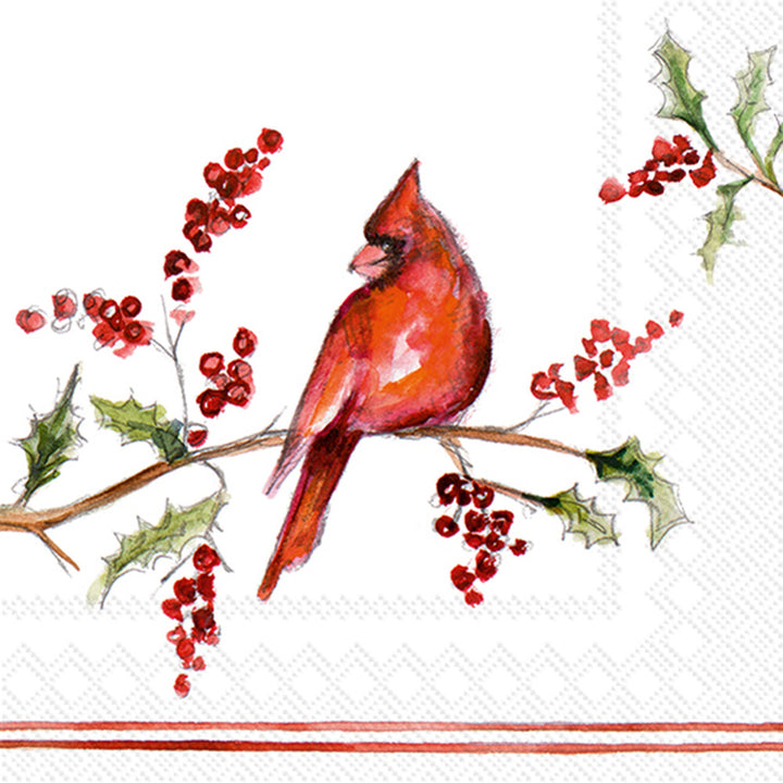 Christmas Cardinal Cocktail Napkin