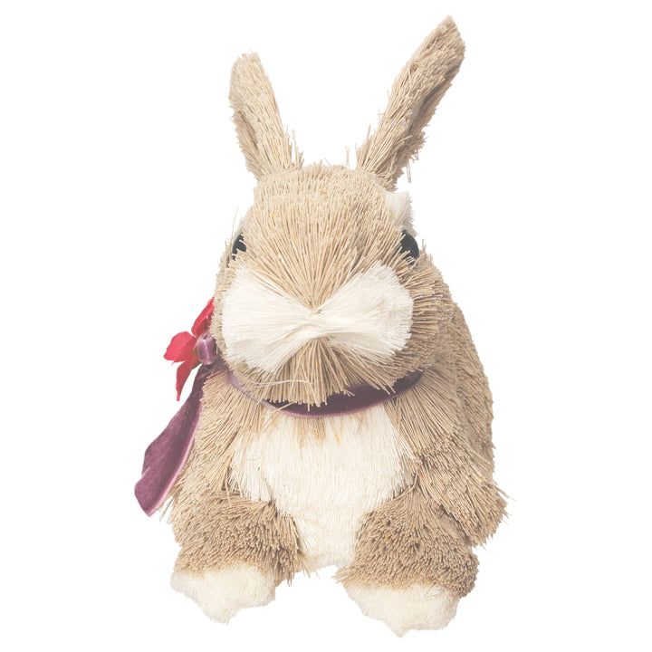 Brother Timmy Bunny